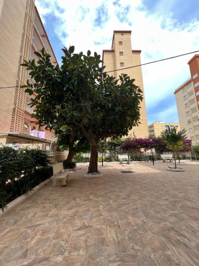 Ap Cande Playa De Gandia Luaran gambar